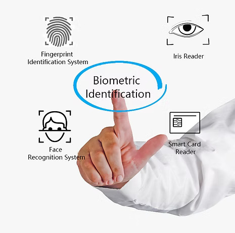 ced950_8a60466cc57f4fe5bd0eeb024258e672~mv2